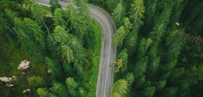 Winding road through a forest