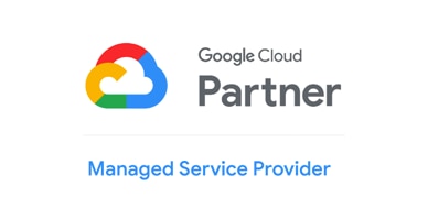Google Partner Managed Service Provider