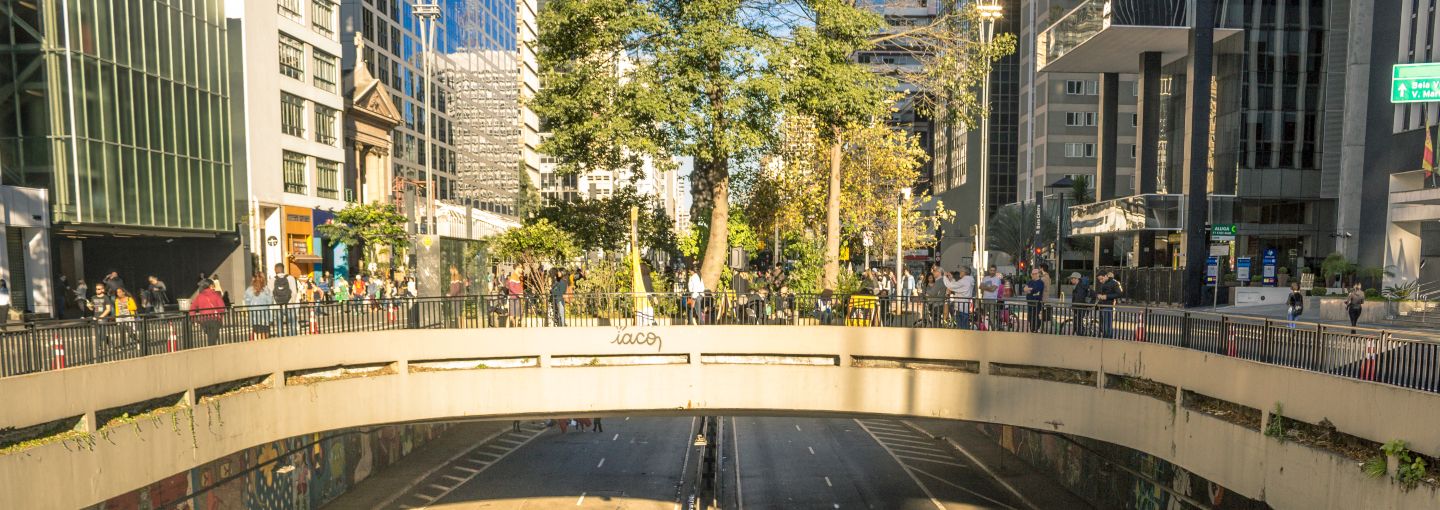 A bridge with trees in the middle of a city center