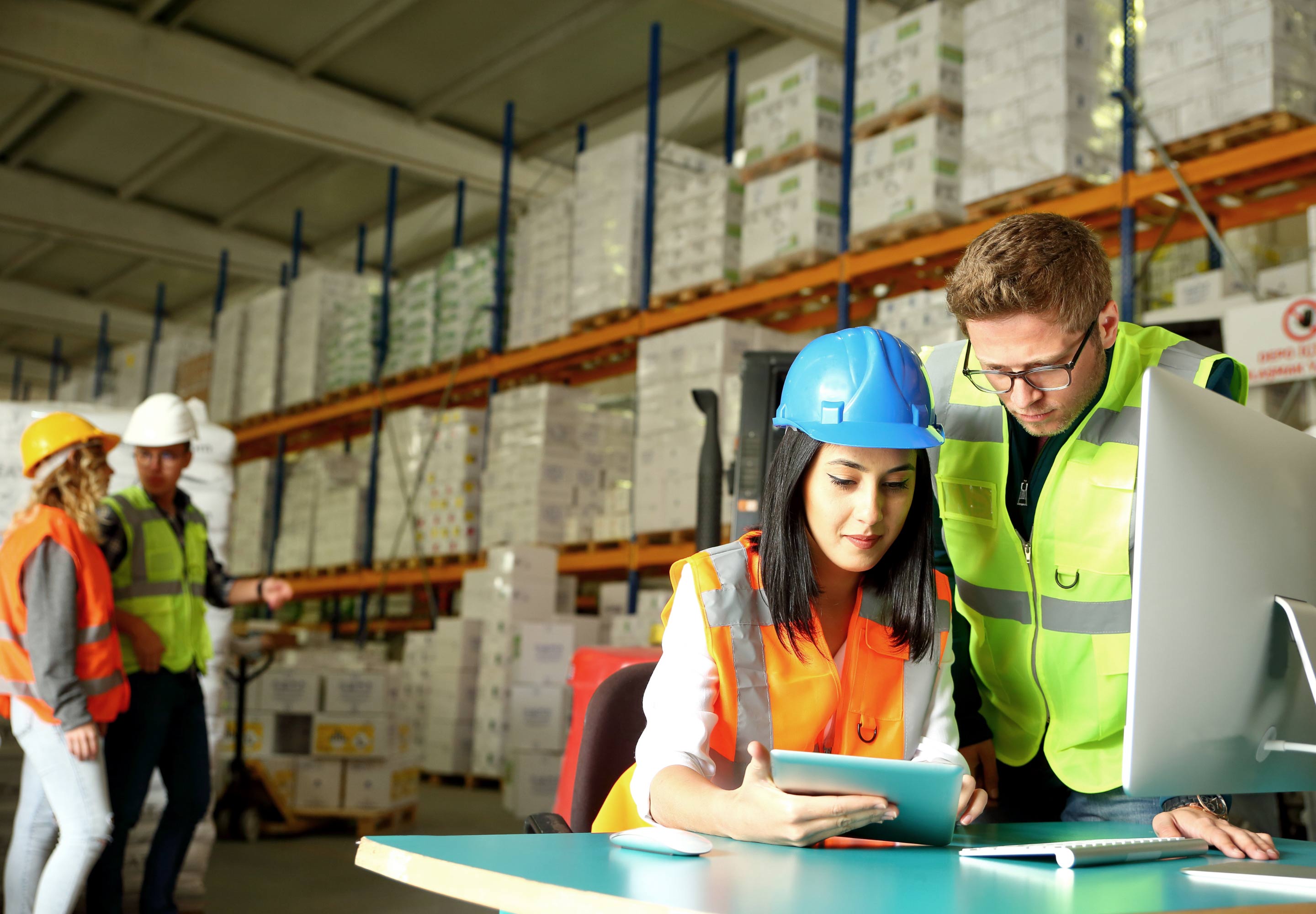 Business professionals looking on the computer