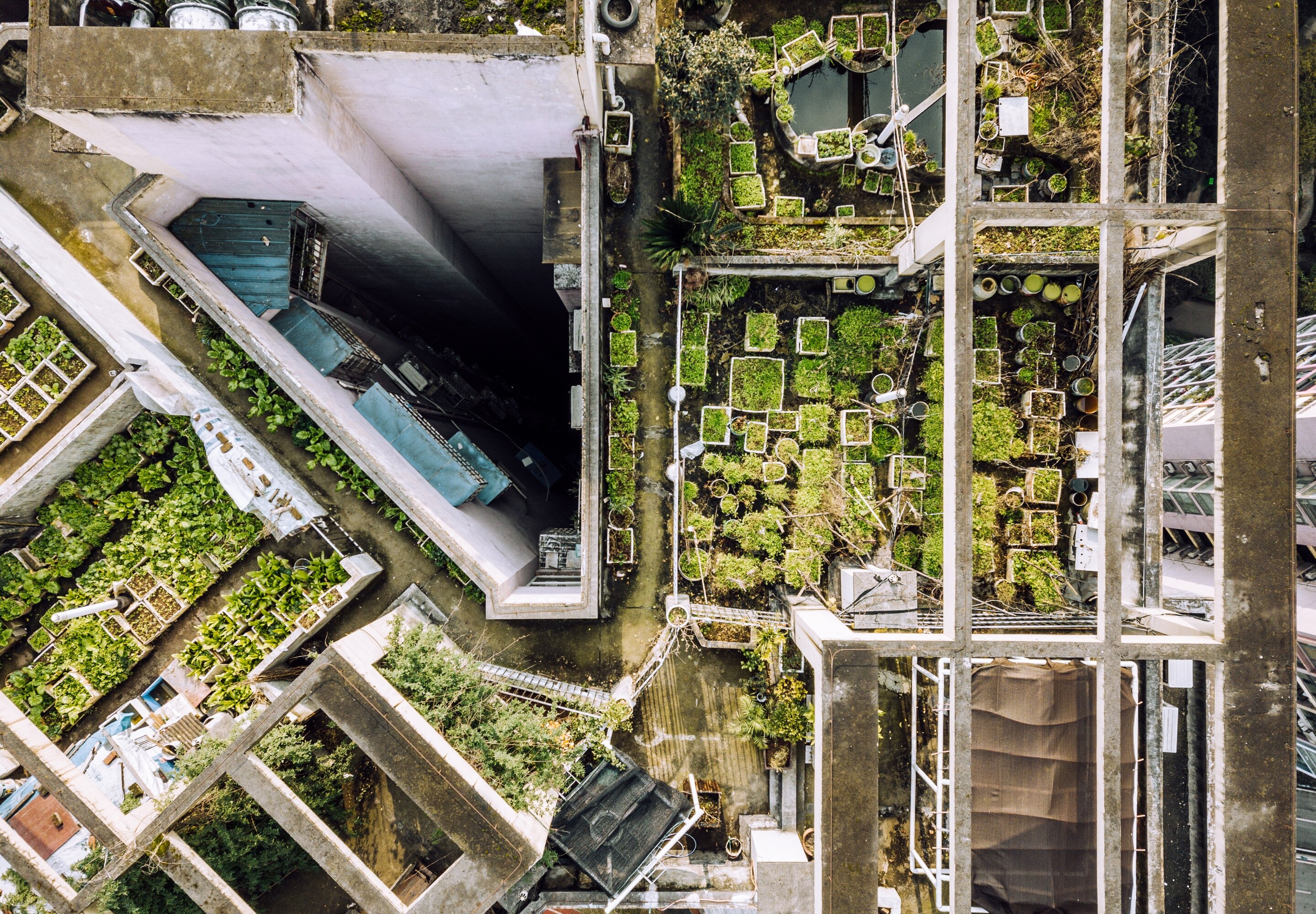 Green sustainable environment