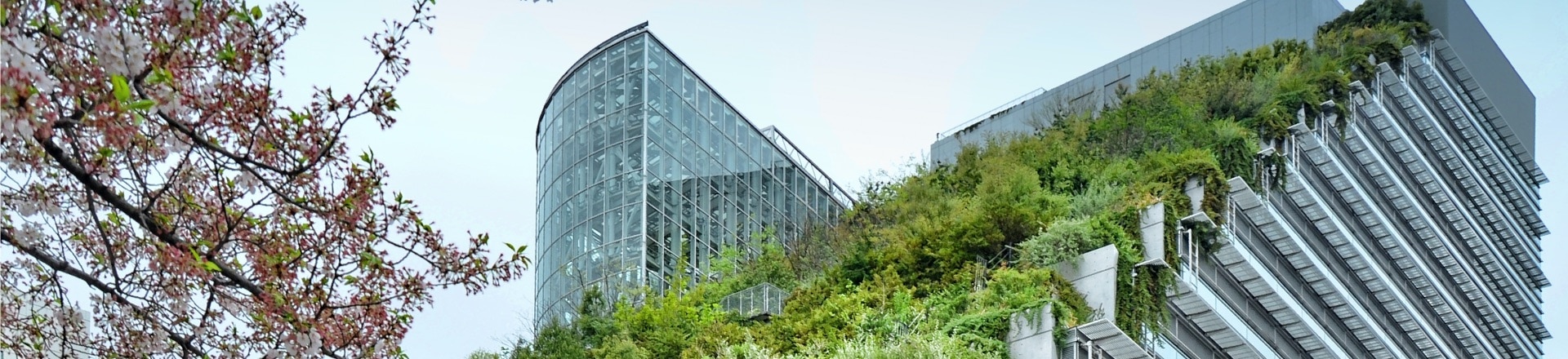 A building with grass growing on top of it
