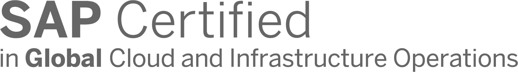 SAP Global Infrastructure logo