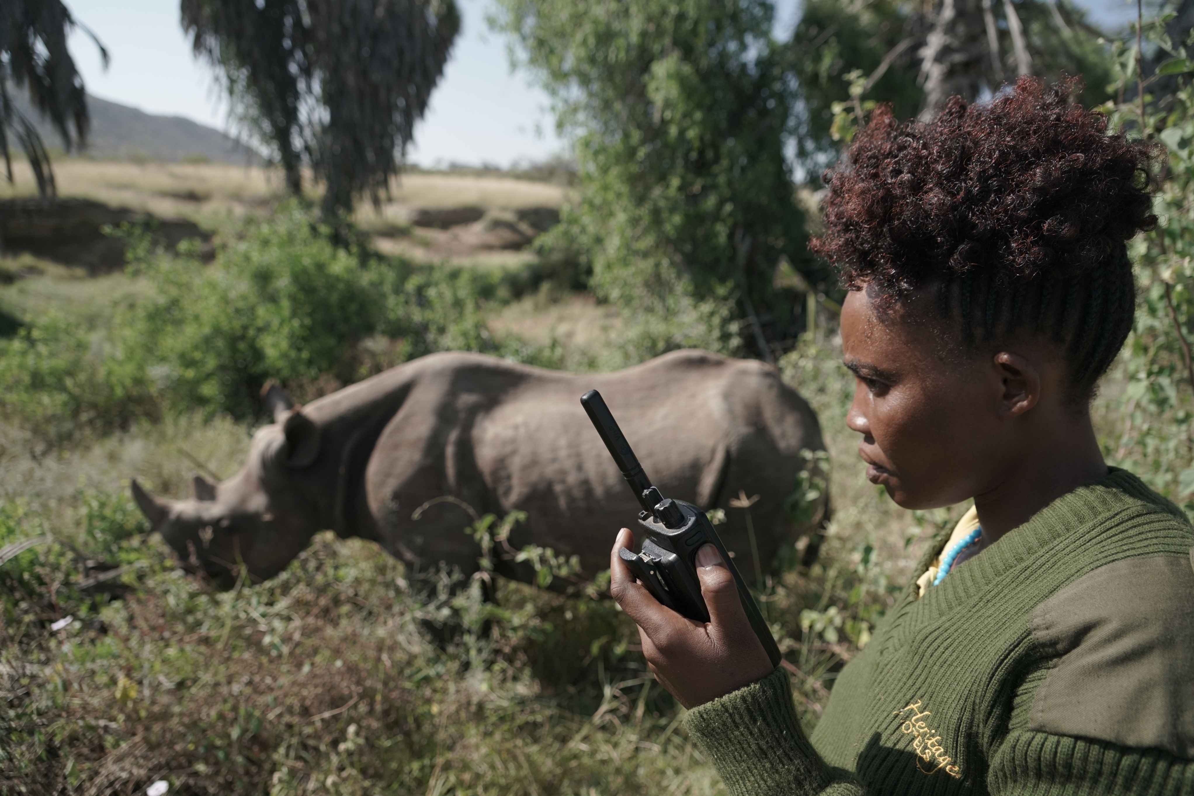 A woman standing talking on a radio with a rhino in the background