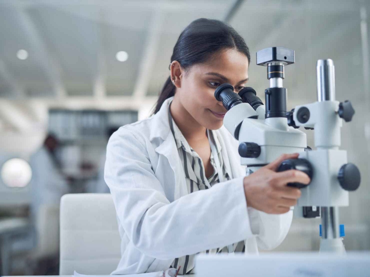 The lab environment