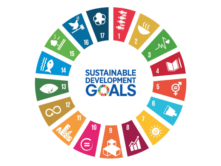 United Nations Sustainable Development Goals chart